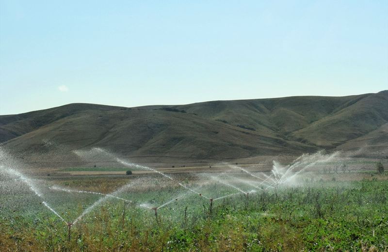 Tarım arazisinde yağmurlama sulama